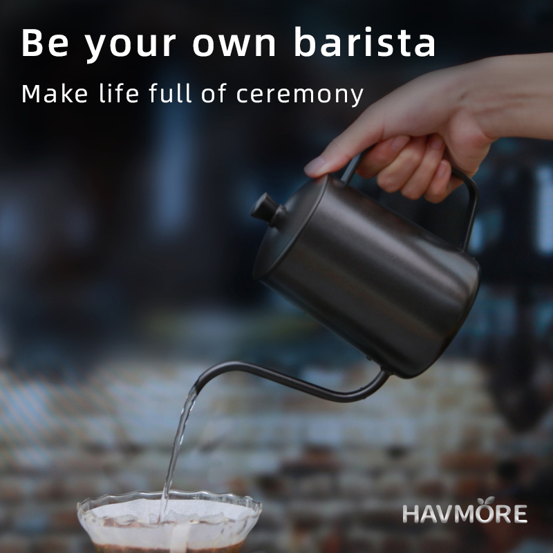 HAVMORE Teekessel aus Edelstah – Coffee Tea Pot Bewertung und Preis